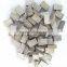 Arix granite segment for 1600mm blade