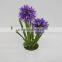 Fashion Artificial Wisteria Flower China