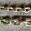 LOWEST PRICE AND FINE QUALITY SOUTH KOREAN STANDARD LINK CHAIN