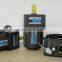 24V 250WDC mirco gear motor,spur gear reduce motor,