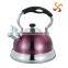 3.0L top level and high quality of tea kettle for boiling water with colorful coating on body