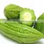 HOT PRODUCT FROZEN BITTER MELON HIGH QUALITY ANSD BEST PRICE