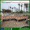 Recyled wood plastic composite material for outdoor garden fence and wall panel