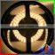 DC 12V 24V swiming pool waterproof ip68 led strip 5050
