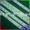 Indoor plants grown lighting SMD led strip 24V, 460nm led light strip 60leds/m