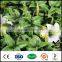 cheap plastic outdoor artificial plastic single roses flowers