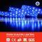 China supplier High output waterproof led rope light/3 wire/4wire/5wire