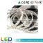 CE Approved bright led strip lighting 12v 24v led strip light