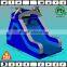 cheap dolphin blue slide into pool for backyard party use
