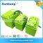 600w 36 dc motor hybrid super capacitor 12v 100ah lifepo4 lithium battery
