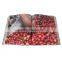A4 Full color Magazine factory price softcover book