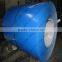 Cold Rolling Prepainted Steel Coil