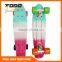 Plastic 2016 New Fish cruiser SKateboards 22INCH