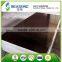 for overseas market film faced plywood for construction
