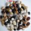 Wholesale price natural stone black yellow red white aquarium pebble stone