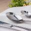 Pattern Nice Water Drop Stainless Steel Flatware Set in Stainless Steel 18/0 KX-S159
