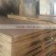 poplar /eucalyptus film faced plywood