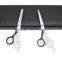 HIGH QUALITY 9CR Stainless Steel Hair Scissors For Sell Scissors Set With Hair Thinning Scissors
