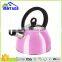 Fashion Durable Hot Sale Stainless Steel Small Travel Whistle Water Tea Kettle With Handle