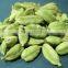 wholesale dried Green Cardamom