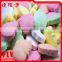 Apple Shape Milk Tablet Candy