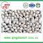 New stock 35/39 blanched peanut kernels with high quality ready for export