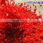 Certificated 2015 new crop china organic and conventional goji berry for sale