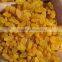 Dried golden raisin for the Middle East market