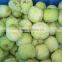 2016 new crop delicious frozen kiwi whole/slice/dice