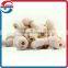 Rawhide knotted bone dog chews