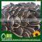Promotion :Round Type Sunflower Seed Top Quality 1121,909 low price