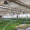 JINLONG Direct Drive Type Stainless Steel Frame Air Circulation Fan For Greenhouse And Poultry Farm