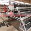 TAIYU Designs for Chicken Houses Abroad Farm Sample in Nigeria Kenya Uganda and so on