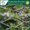 sale new design high-Tech stainless Steel Climbing Wall Mesh woven type netting