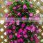 flower planting bag/flower pouch