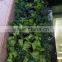 1mx1m new hotel decoration artificial fire spring green grass wall EDC1604 03Y08