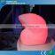 Colorful LED Festival Decoration With Remote Control