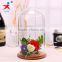 clear decorative glass dome with black wooden base