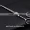 Professional salon for a haircut scissors Stainless steel