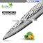 VG-10 steel cutting core Damascus 8-inch Chef's Knife