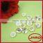 High Quality Abalone Shell Button For Clothing