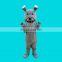 new coming Shar Pei dog cartoon Custom Mascot Costumes For Sale