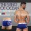 Design Crazy Selling underwear sexy men panty sexy men pictures