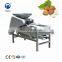 High Capacity With High Quality Almond Shelling Machine Shell Kernel Separation Machine Hazelnut Cracking Machine