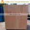 Trade Assurance green beans seedling sprout machine / bean sprout process machine