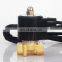 Underwater waterproof solenoid valve brass 1/8 1/4 3/8 inch Normally close 2W025-06/08 2W040-10 2 way Fountain solenoid valve