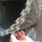 Galvanized Razor Blade Wire Manufacturer,Concertina wire factory