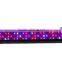 3 Years Warranty 296pcs 296x 5W Cheap Led Grow Lights