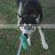 plush dog toy for outdoor playing interactive rope toy rope and stick set