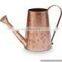 copper water cane